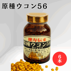 【6本セット】原種ウコン56