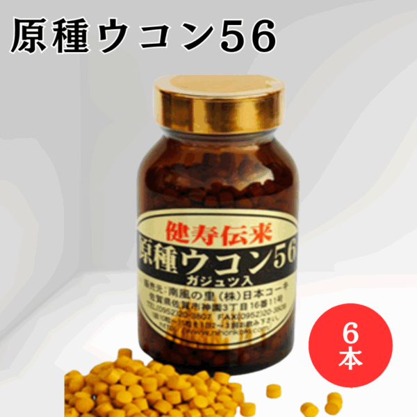 【6本セット】原種ウコン56